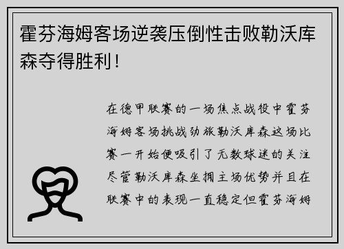 霍芬海姆客场逆袭压倒性击败勒沃库森夺得胜利！